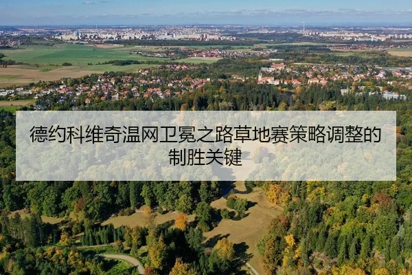 de-yue-ke-wei-qi-wen-wang-wei-mian-zhi-lu-cao-di-sai-ce-lve-tiao-zheng-de-zhi-sheng-guan-jian-2-535.jpg