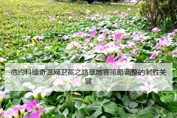 德约科维奇温网卫冕之路草地赛策略调整的制胜关键