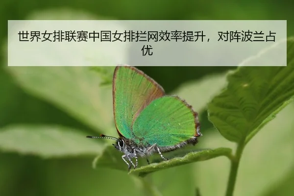 shi-jie-nv-pai-lian-sai-zhong-guo-nv-pai-lan-wang-xiao-lv-ti-sheng-dui-zhen-bo-lan-zhan-you-3-419.jpg