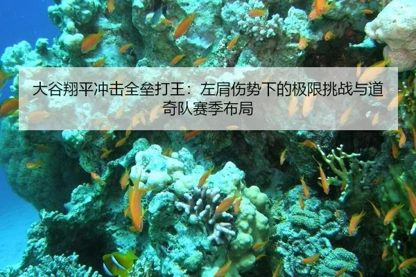 大谷翔平冲击全垒打王：左肩伤势下的极限挑战与道奇队赛季布局
