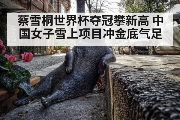 蔡雪桐世界杯夺冠攀新高 中国女子雪上项目冲金底气足