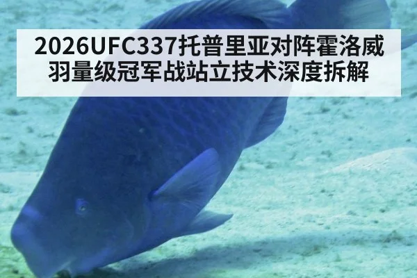 2026UFC337托普里亚对阵霍洛威羽量级冠军战站立技术深度拆解
